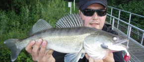 Stachelritter aus der Elbe