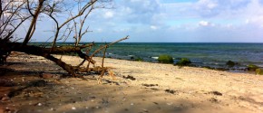 schöner Strand bei Boltenhagen