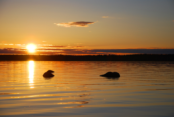 Traumhafte Kulisse - Sonnenuntergang in Schweden
