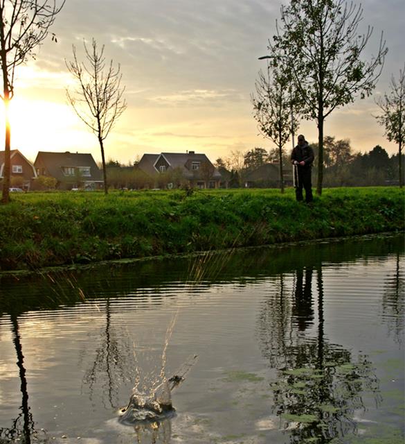 Hechtfischen in den Poldern in den Niederlanden
